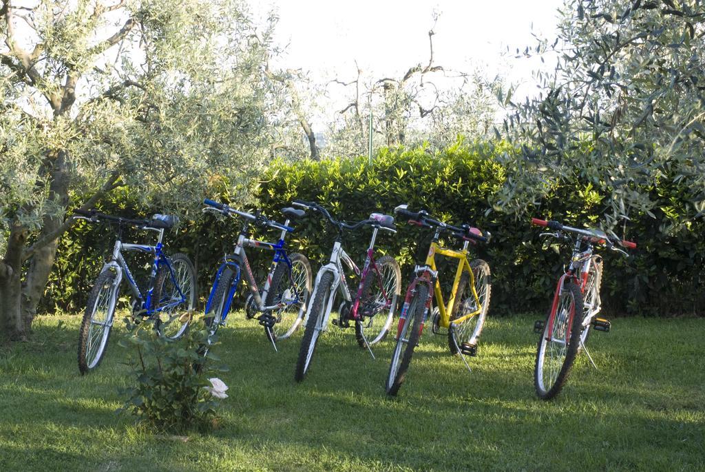 Villa Agriturismo Macinatico à San Gimignano Extérieur photo